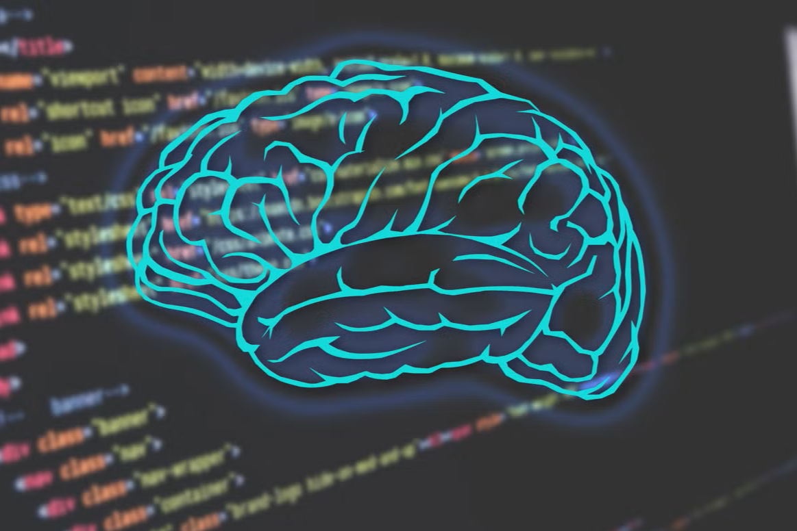 A brain with code
